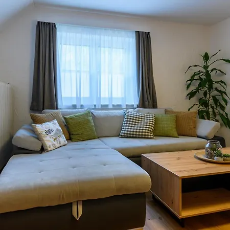 Werner Pucher Og 公寓 奥尔陶斯