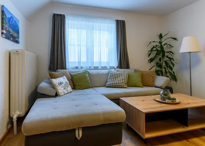 Werner Pucher Og 公寓 奥尔陶斯