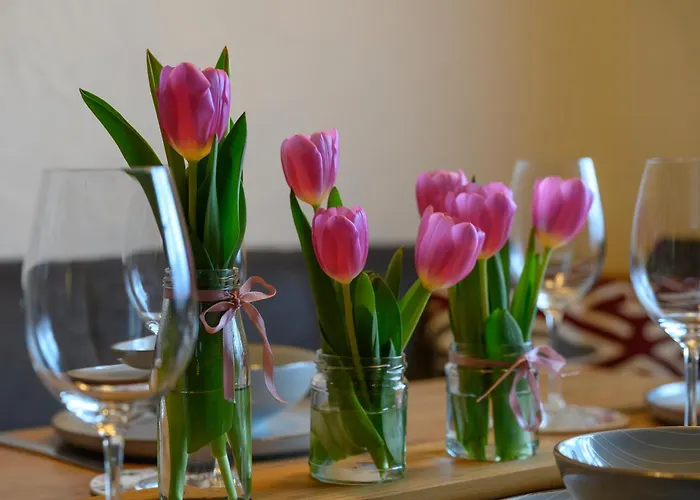 公寓 Werner Pucher Og 奥尔陶斯